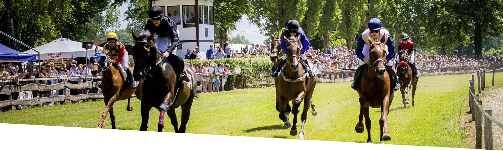 Pferderennen, Turf-Championat