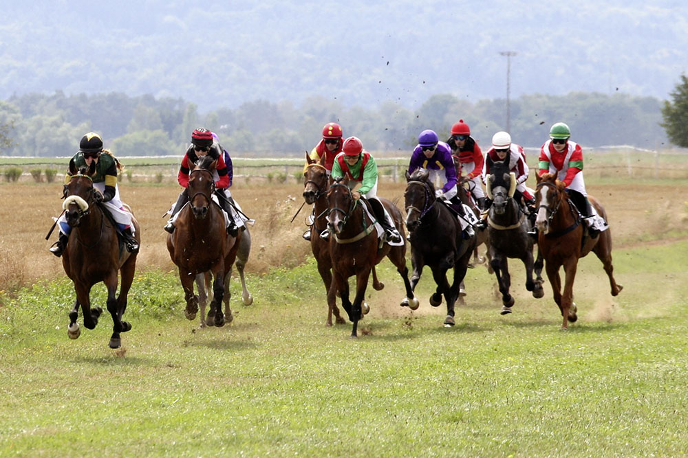 Pferderennen Rennbahn Miesau