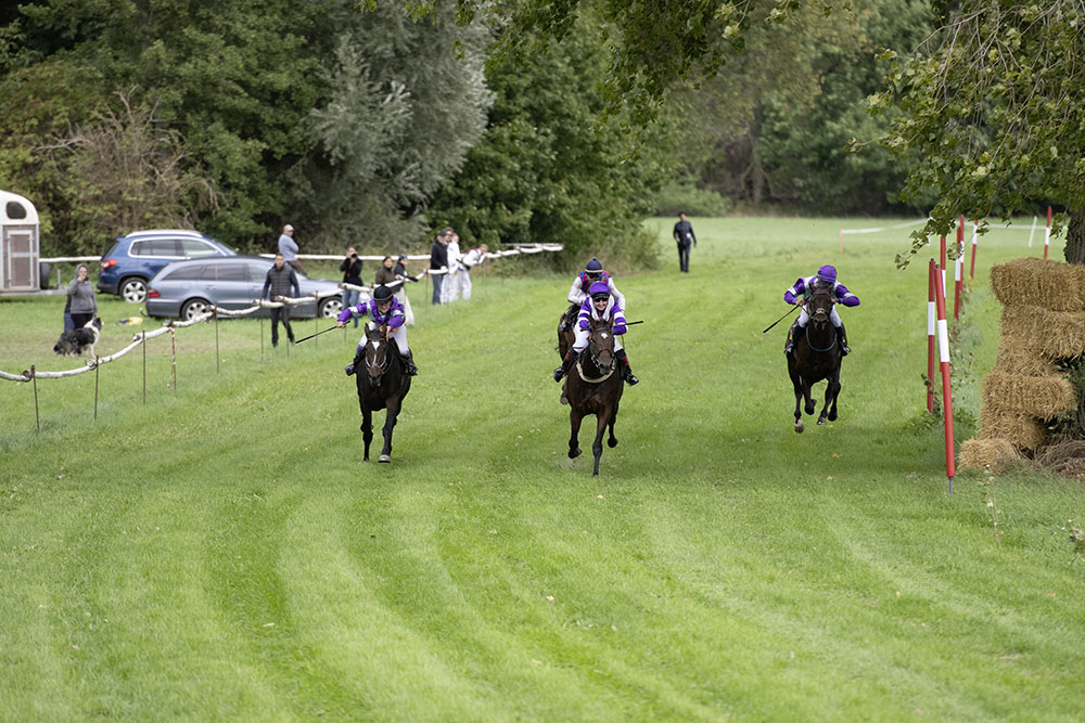 Pferderennen Rennbahn Billigheim