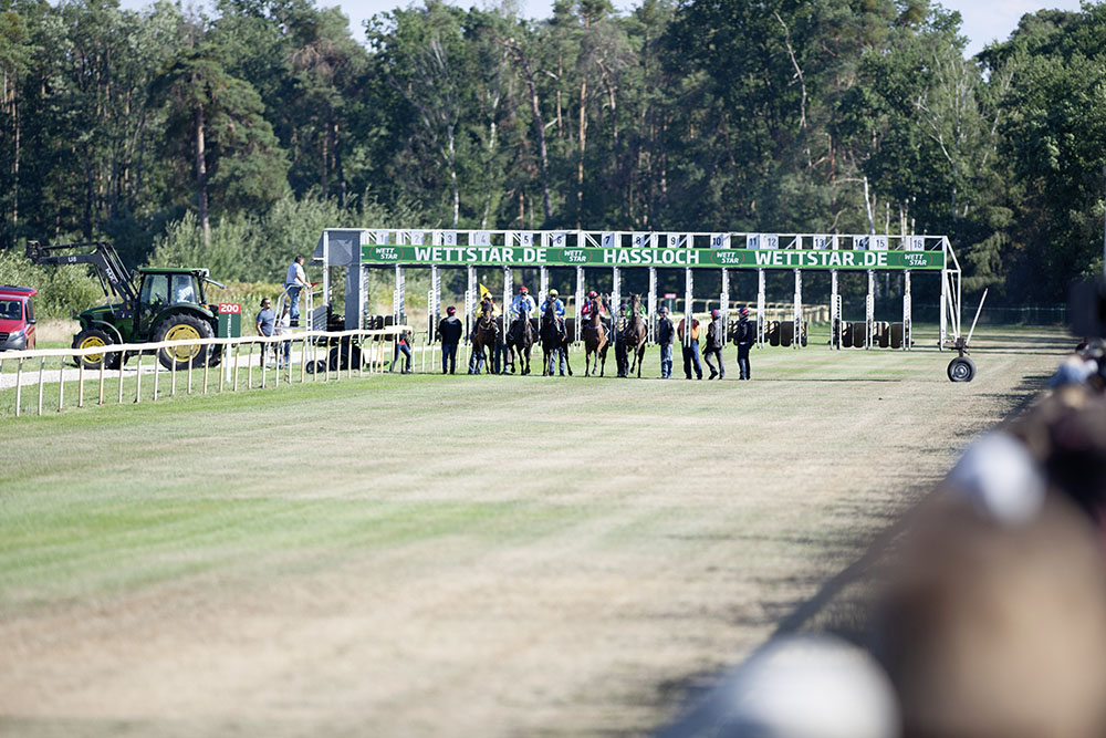 Pferderennen Rennbahn Haßloch
