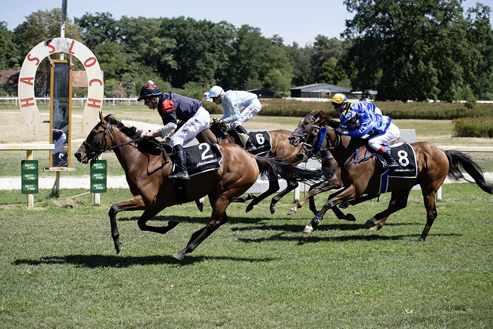 Pferderennen Rennbahn Haßloch