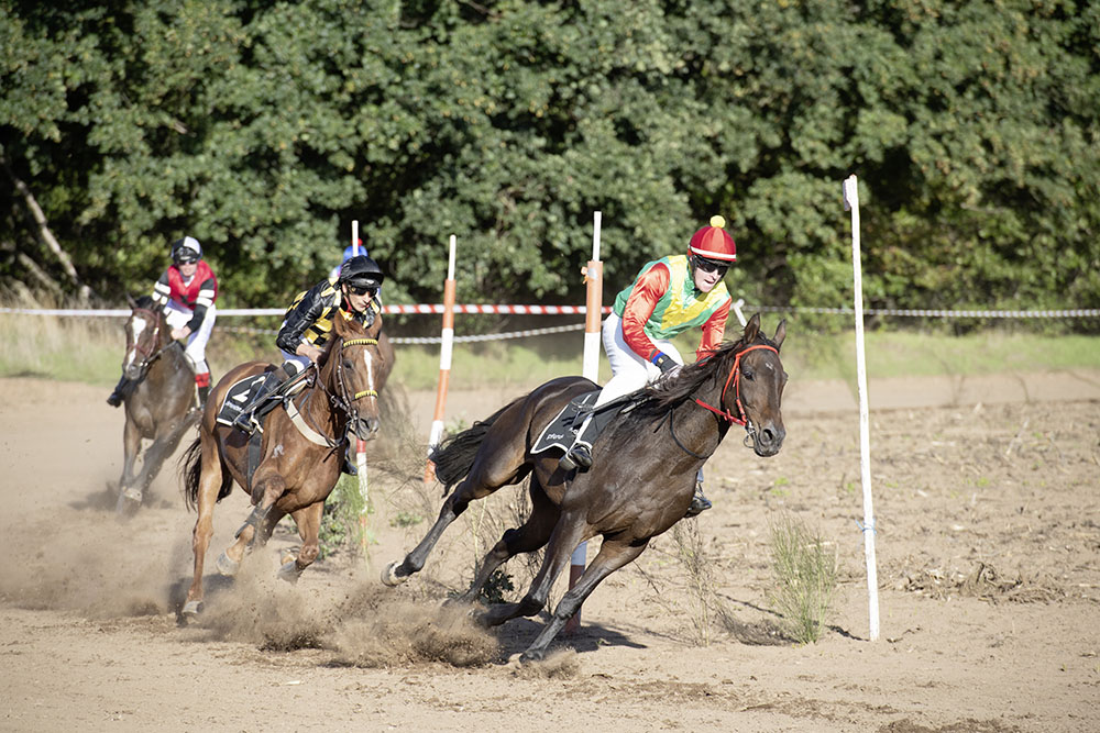Pferderennen Rennbahn Honzrath