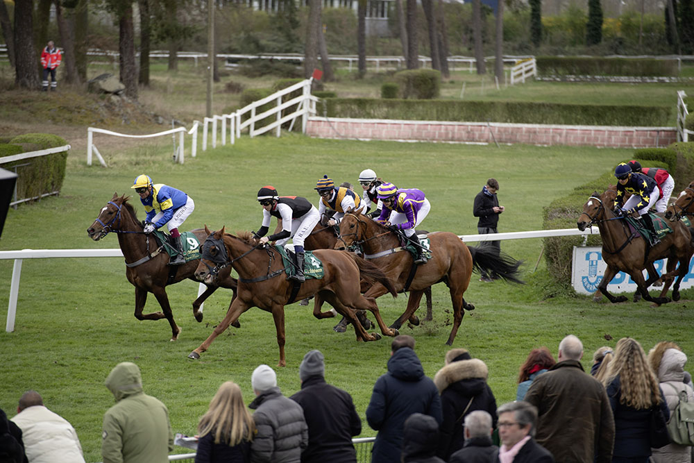 Pferderennen Rennbahn Mannheim
