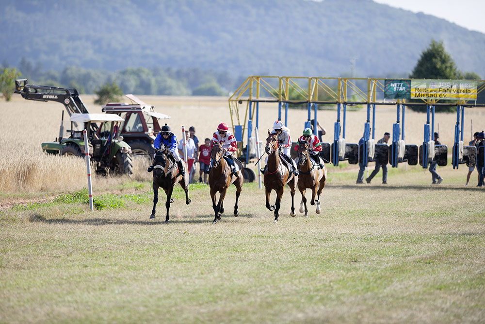 Pferderennen Rennbahn Miesau