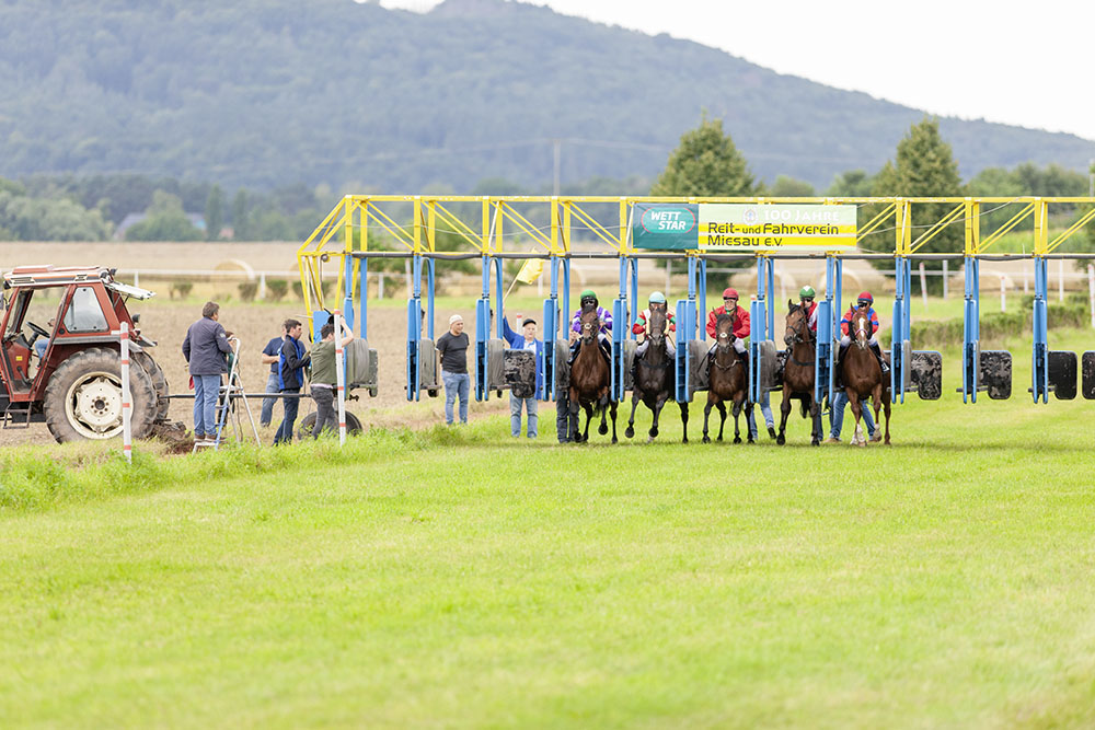 Pferderennen Rennbahn Miesau
