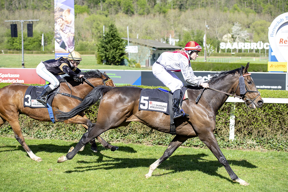 Pferderennen Rennbahn Saarbrücken